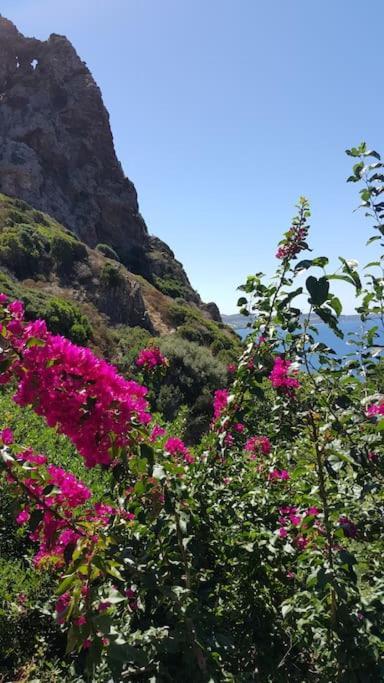 Tanca Piras - Emozioni A Strapiombo Sul Mare!!! Βίλα Nebida Εξωτερικό φωτογραφία